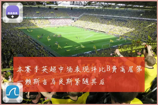 本赛季英超中场表现评比B费高居第一赖斯吉马良斯紧随其后